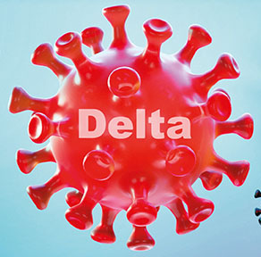 delta2 Kopie